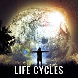 life cycles