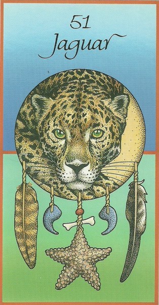 jaguar medicine cards