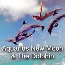Aquarius New Moon and The Dolphin