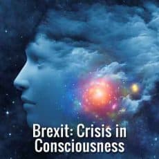 brexit crisis in consciousness