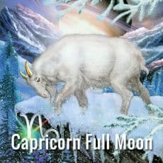 Full Moon in Capricorn Time to Commit