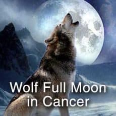 Wolf Full Moon in Cancer