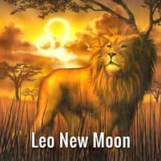 Leo New Moon July 23