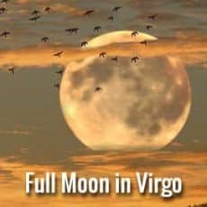 Full Moon in Virgo