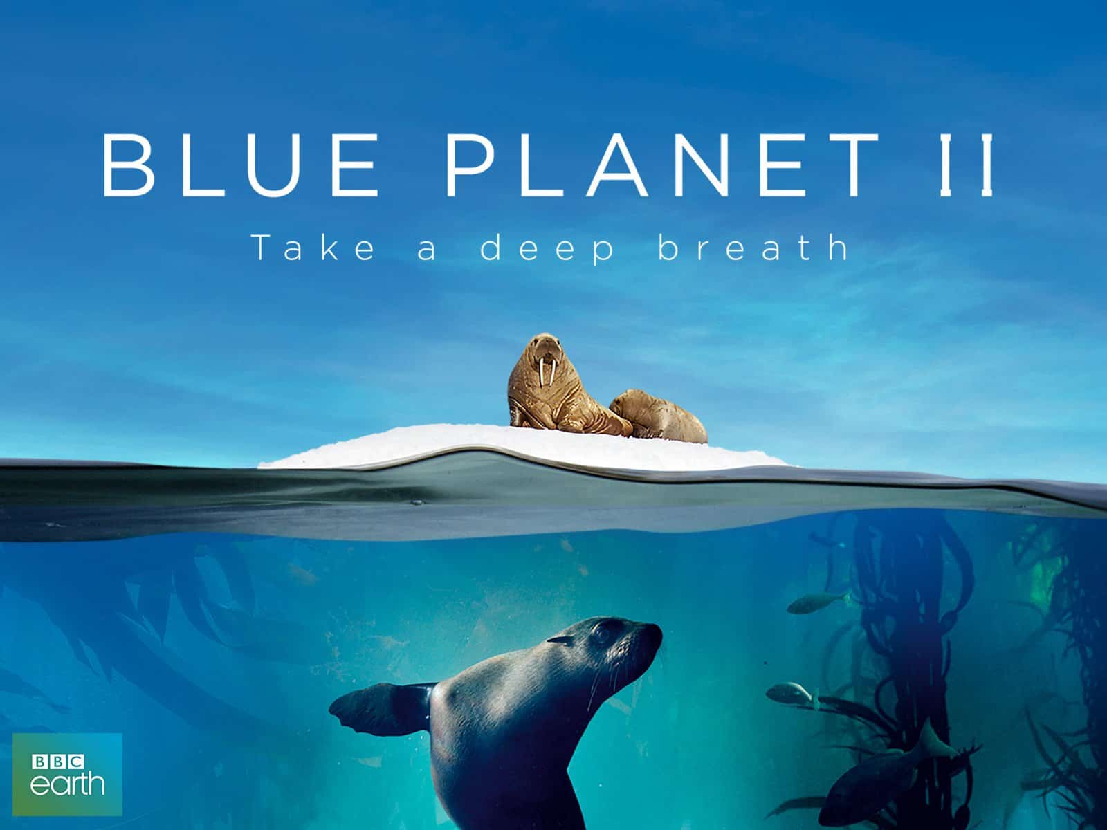 the blue planet