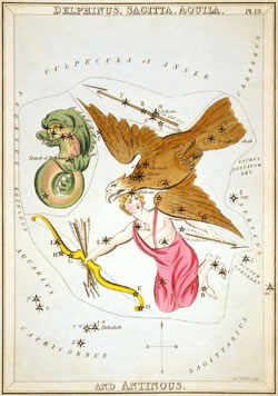 Aquila the eagle constellation in Aquarius