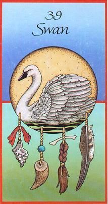 swan medicine card