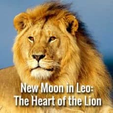 New Moon in Leo