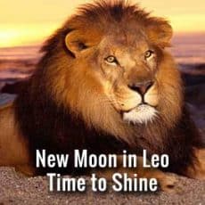 New Moon in Leo August 16th