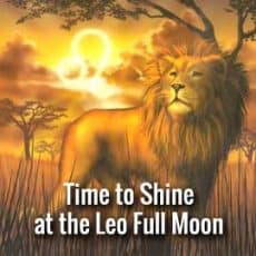 Leo Full Moon Jan 25th 2024 Time to Shine?