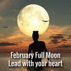 Full Moon in Leo 2026 Power to the People