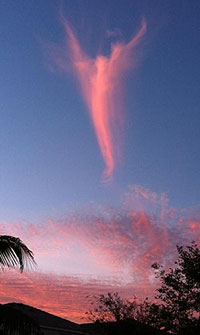 Angel in the sky 