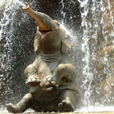 laughing-elephant